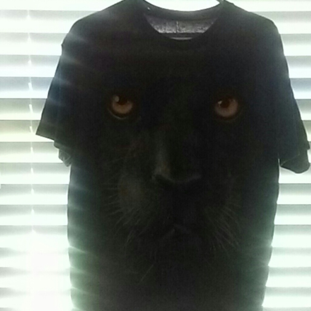 The Mountain t-shirt